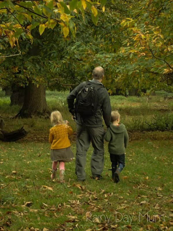 grandfather and kids walking through the oak trees in mid autumn at Holkham hall
