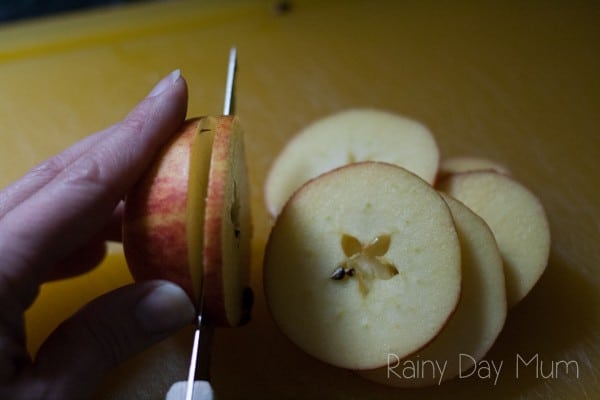 Apple Star Ornaments - natural decorations you can make at home with kids to decorate the Christmas Tree