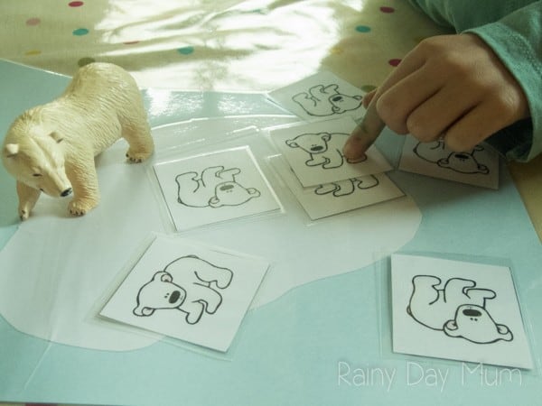 Hands-on Math activity for early years with the theme of Tundra or Polar Animals, sharing and halving polar bear cubs
