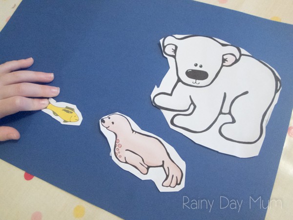 child sticking down the animals in the food chain of the polar bear