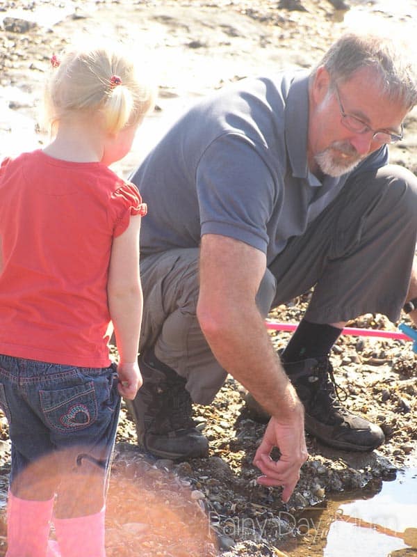 grandfather and toddler looking at the edge of rock pool to see the creatures that they can find.