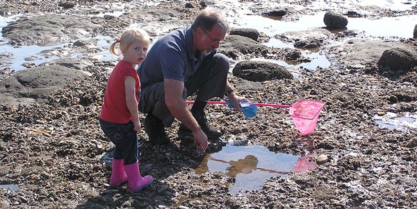 Grandfather and toddler at the shore exploring tide pools.