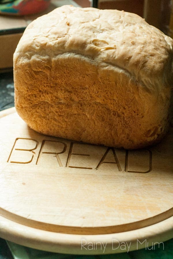 Distrahere stereoanlæg Helt tør Custom Loaf Prof Bread Maker tested