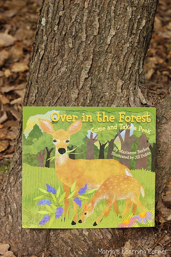Over in the Forest Counting Clip Cards - Free Download of the clip cards to print and use. A perfect fine motor and math activity for preschoolers.