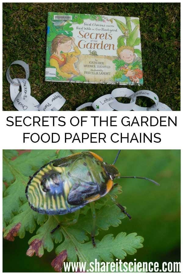 Understand food chains and how they are formed whilst connecting picture books with science in this fun Garden themed activity