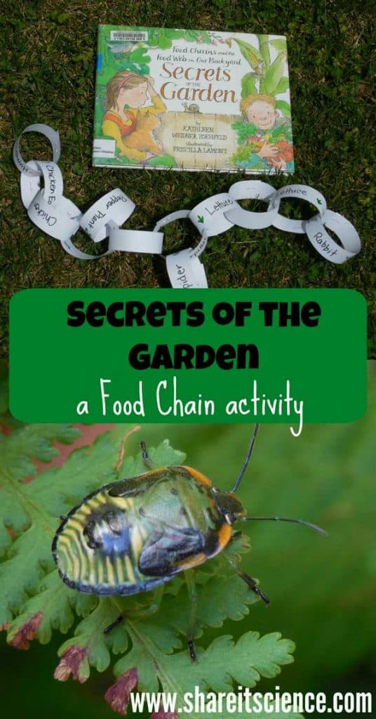 Understand food chains and how they are formed whilst connecting picture books with science in this fun Garden themed activity