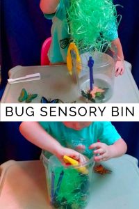 Bug Sensory Bin