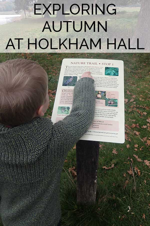 Explore Autumn at Holkham Hall in North Norfolk. See the Fallow Deer in Rutt and explore the nature trails that go around the lake. A perfect autumn family day out in the UK