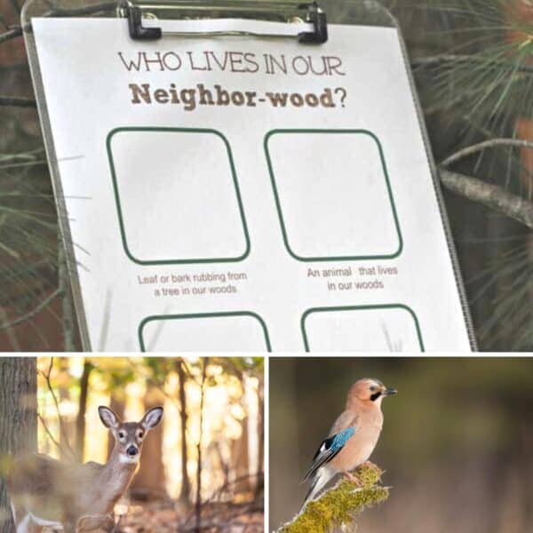 FREE Printable Forest Scavenger Hunt Activity Sheet to complete with toddlers and preschoolers