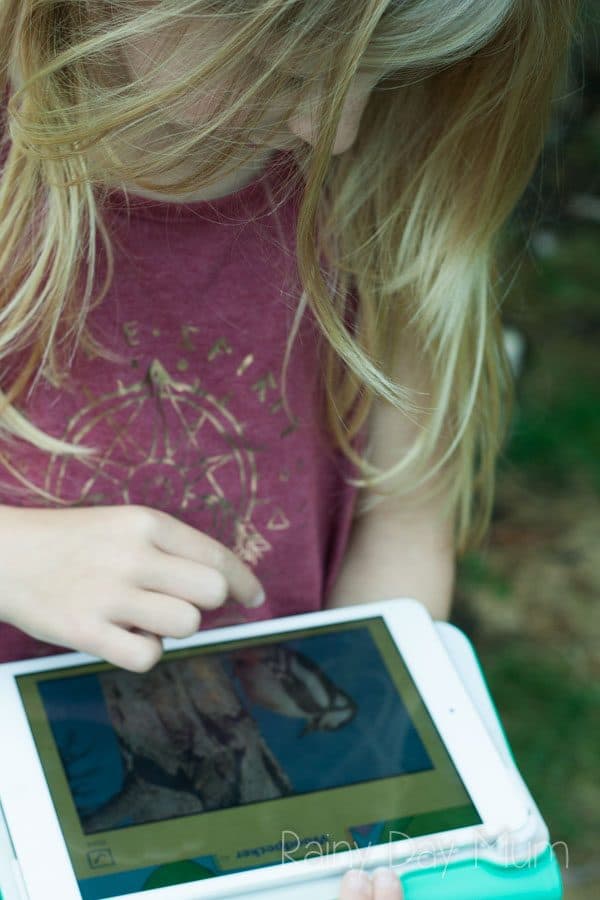For the first time, the RSPB has produced an App for children. First Birds from the RSPB an interactive App that encourages children to explore Nature.