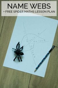Name Webs and FREE Spider Maths Lesson Plan
