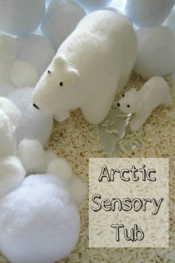 Put together an Arctic Sensory Tub and explore, temperature, texture as well as connect with the story Forever by Emma Dodd and retell using toy animals.