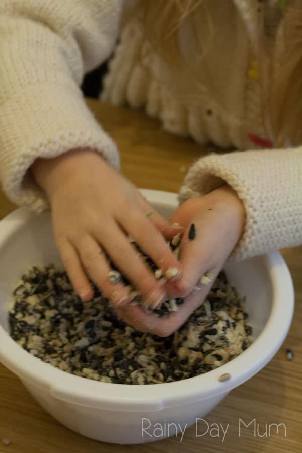 Step by step guide to making suet balls with kids, a fun and essential winter wildlife activity for nature study and kindness challenges.