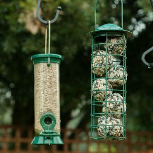 How to Make Fat Balls for Birds with Kids