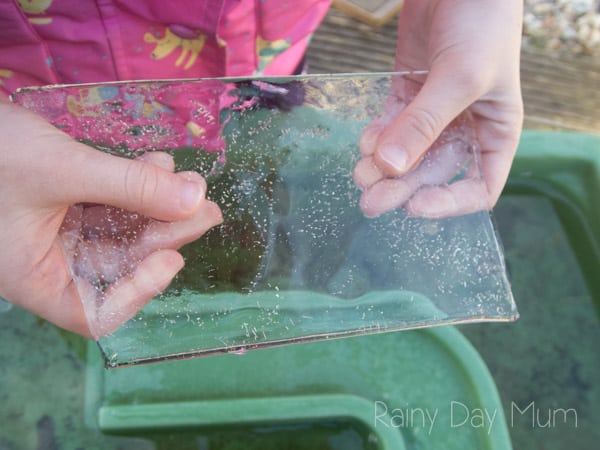 child holding a piece of broken ice from a water table to explore what it feels like