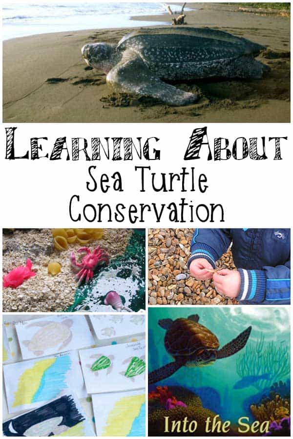 No need to visit a project to learn about Sea Turtles and their protection. Use these fun hands-on ideas to learn where ever you are in the world.