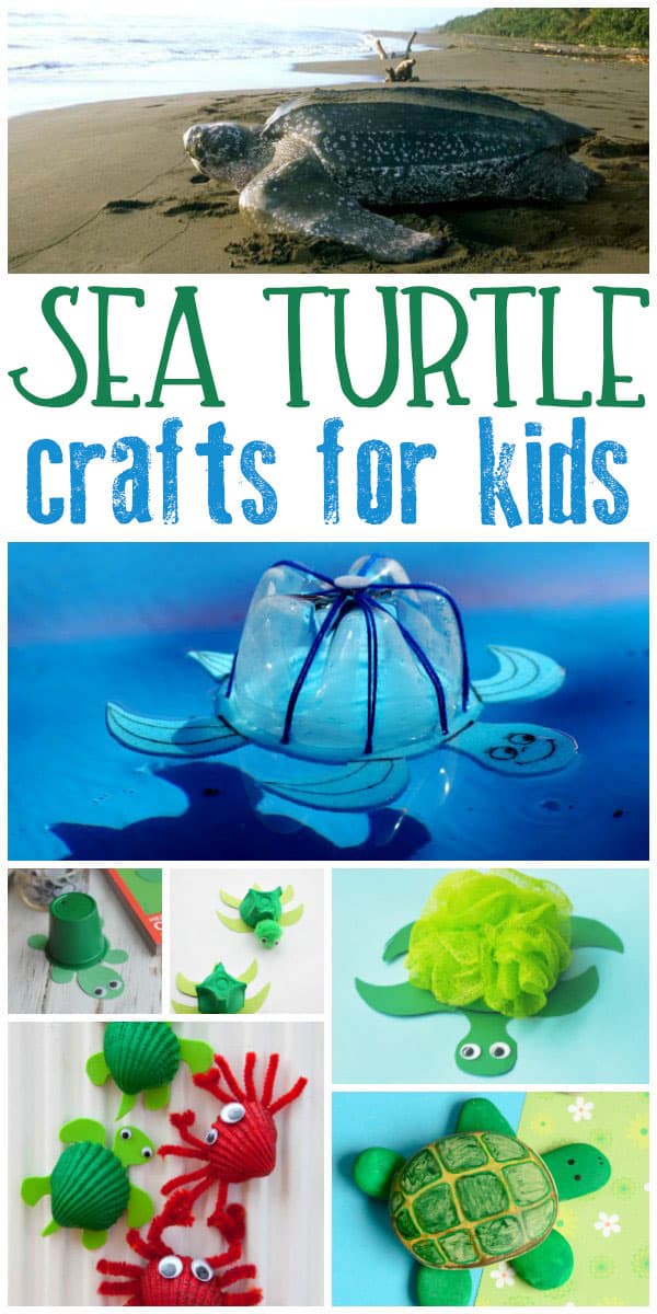 Ideas for Sea Turtle Crafts for kids of all ages to make. From simple toddler sea turtle crafts through to ideas for tweens and teens.
