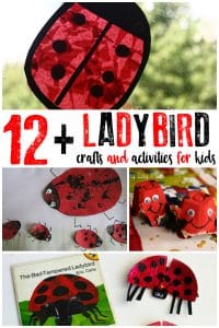 Ladybird activities and crafts for kids to create and learn with ideal for spring and summer fun that can be done at home or in the classroom.