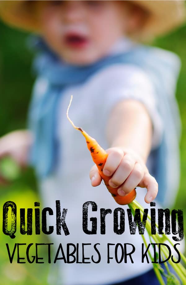 little child holding a carrot that he has grown from seed
