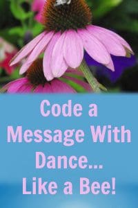 Screen free coding activity for kids based on the communication methods of bees. Code your own dance to get others to follow the directions.