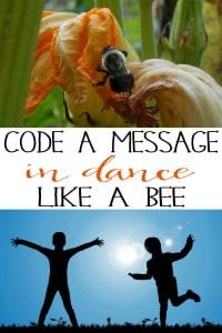 Screen free coding activity for kids based on the communication methods of bees. Code your own dance to get others to follow the directions.