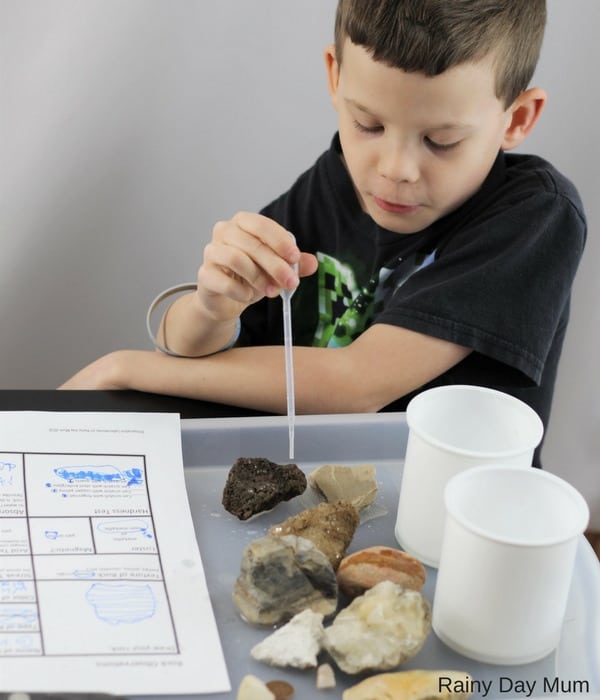 child dropping water on rocks in a simple rock test to see if they absorb water or not