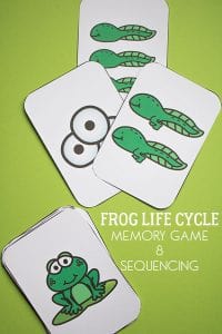 Frog Life Cycle Memory Game