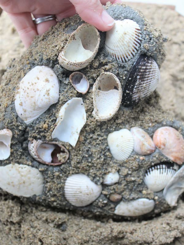 shell stepping stones DIY
