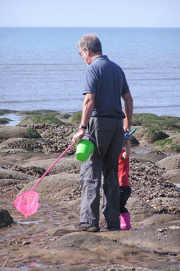 Top tips for taking the kids tide pooling this summer