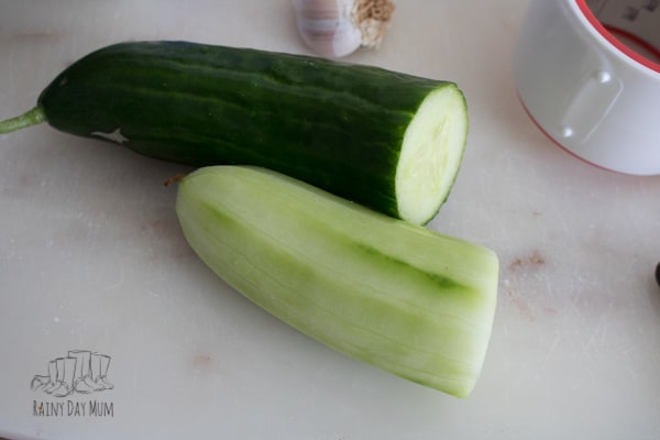 homegrown cucumbers to make delicious greek tzatziki