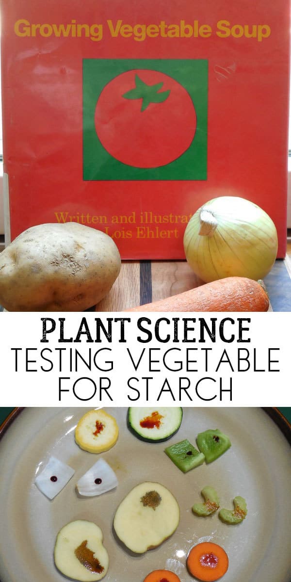 Classic Science Experiment themed for the book Growing Vegetable Soup by Louis Elhert. Test grown vegetables for the presence of starch.