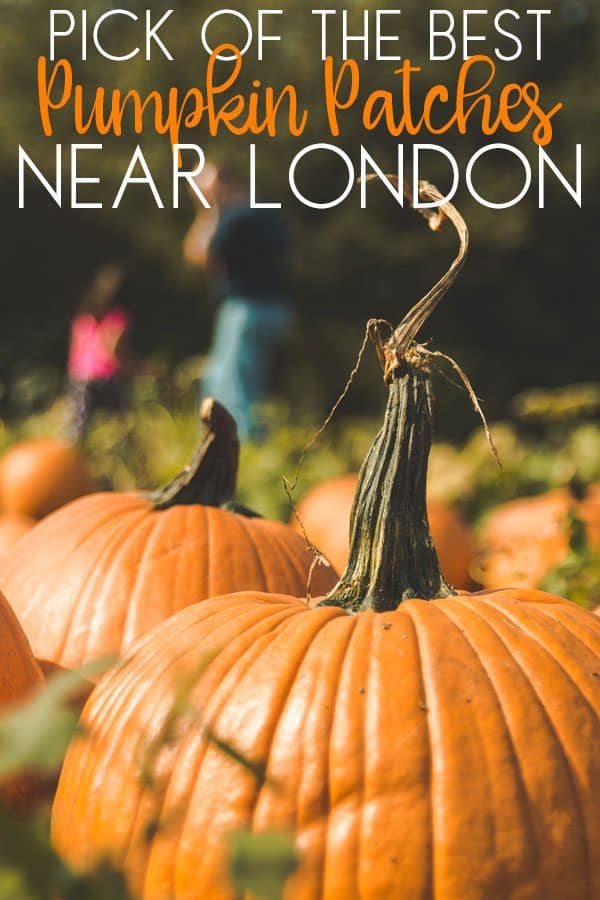 Looking to pick your own pumpkin with the kids this Halloween check out these fantastic farms that offer pick your own within an hour of London.