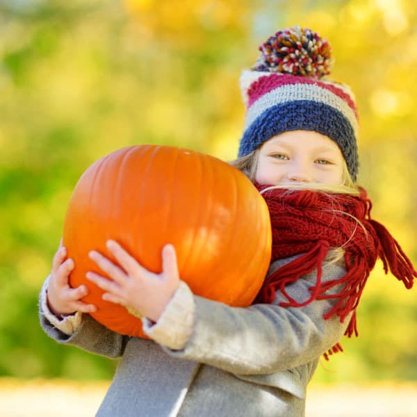 Where to pick pumpkin near London - all farms within an hour of London in average travel ideal for autumn family fun