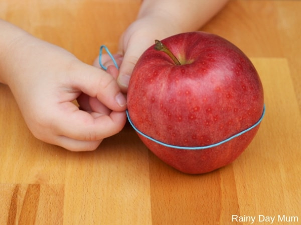 measuring the circumference of apples - easy apple maths looking at properties of apples