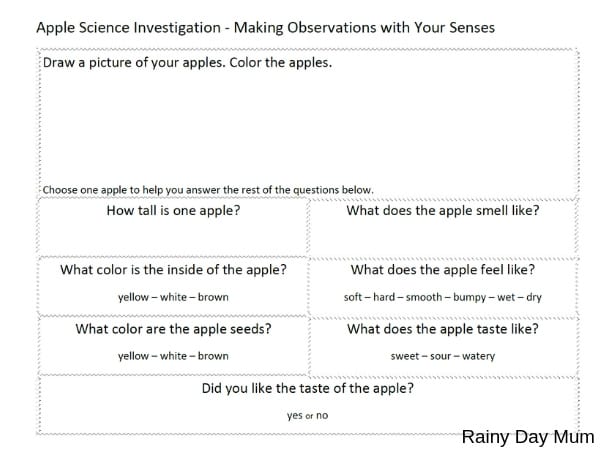 apple science for preschoolers datasheet to record observations and investigation using the 5 senses
