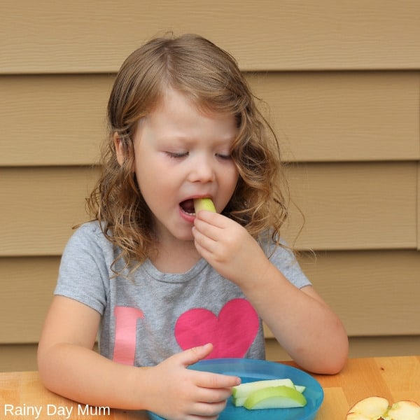 taste testing apples simple science investigation for preschoolers using the 5 sense for apple week