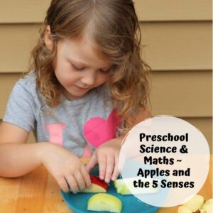 Simple Preschool Apple Science Investigation Using the 5 Senses