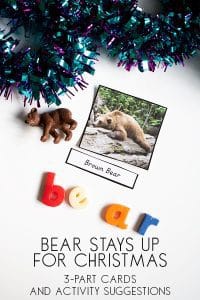 Bear Stays Up Late for Christmas 3 Part Montessori Cards