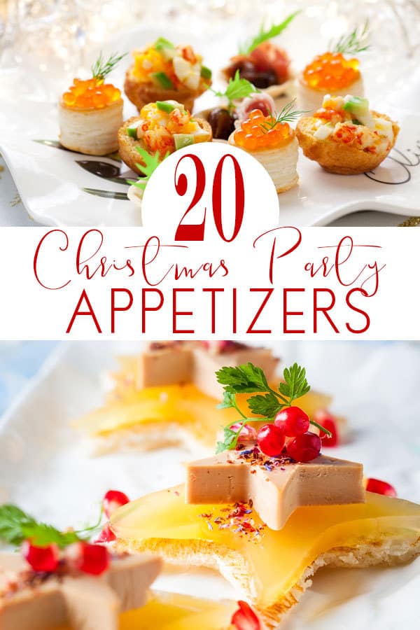 20 Christmas Party Appetizer that every cook can make