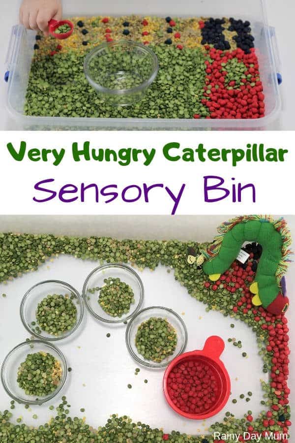 hungry caterpillar sensory bin pin