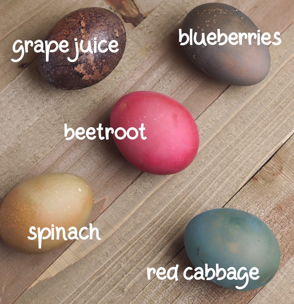 dyed eggs for easter with natural plant materials