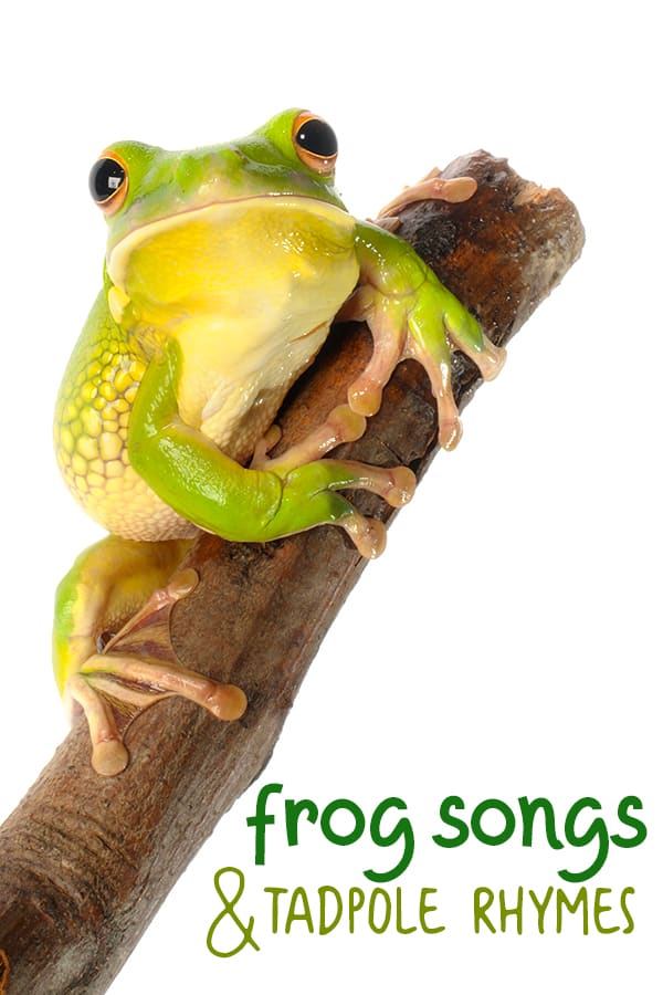 frog songs and tadpole rhymes for kids