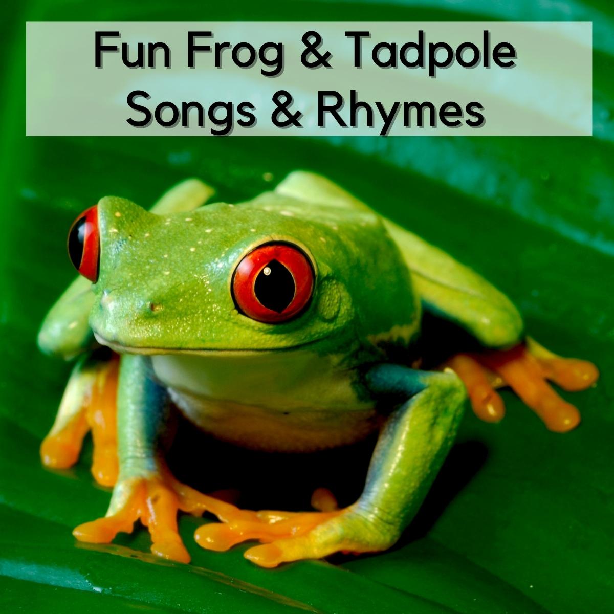 21 Fun Frog and Tadpoles Songs and Rhymes for Kids