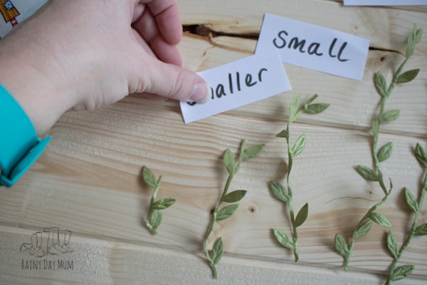 labeling maths words with preschoolers small smaller smallest
