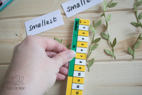 measuring beanstalk using standard measurements