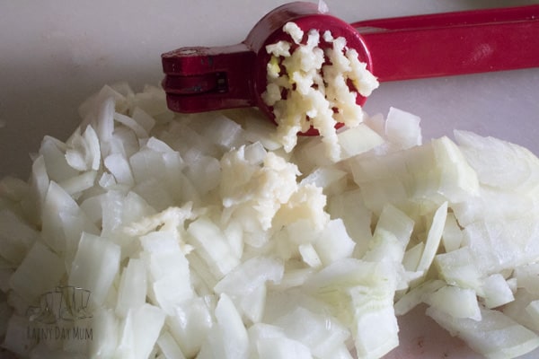 onion and garlic chopped up