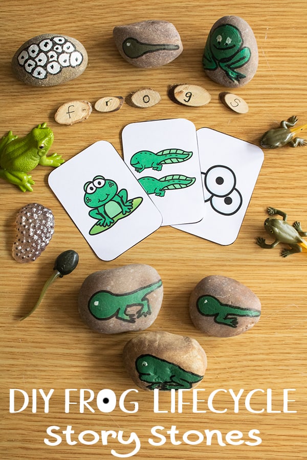 DIY Frog Life Cycle Story Stones and resources for kids to learn