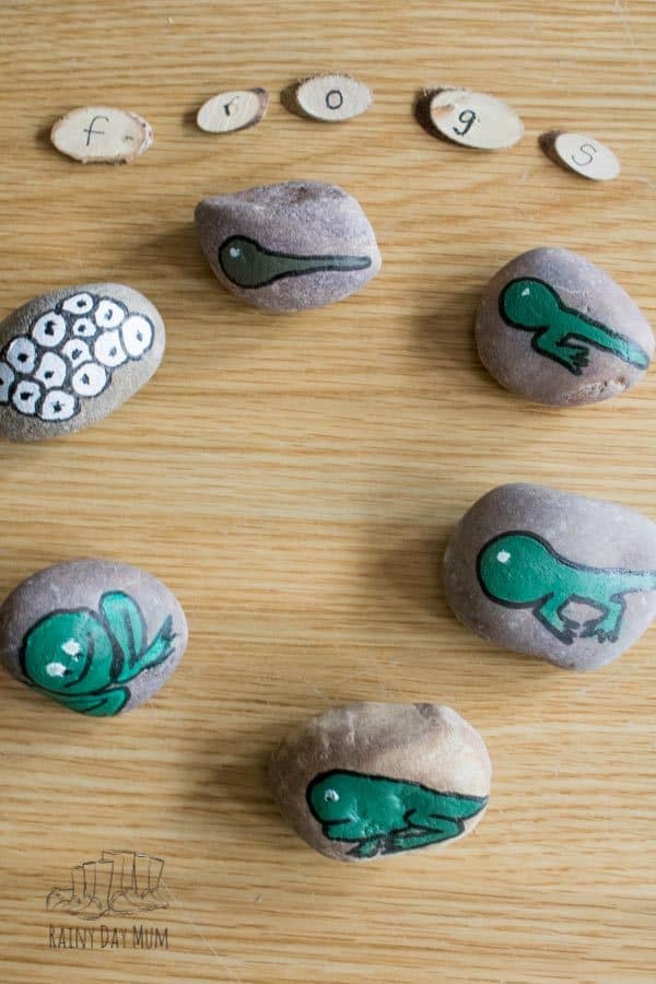 sequencing of the frog life cycle using DIY story stones