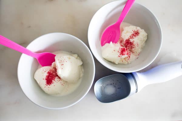 delicious ice cream in a bowls made using ice-cream in a bag activity with kids