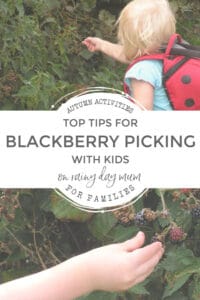 top tips for blackberry picking with kids